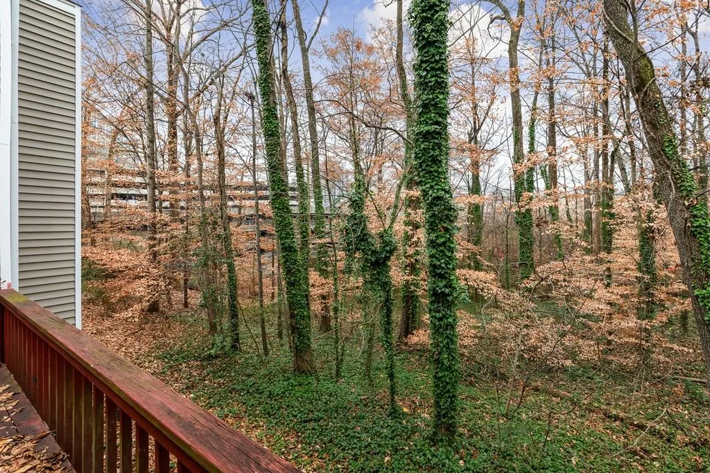 56 Dunwoody Springs Drive, Atlanta, Georgia 30328, 2 Bedrooms Bedrooms, ,2 BathroomsBathrooms,Residential,Sold,56 Dunwoody Springs Drive,6117512