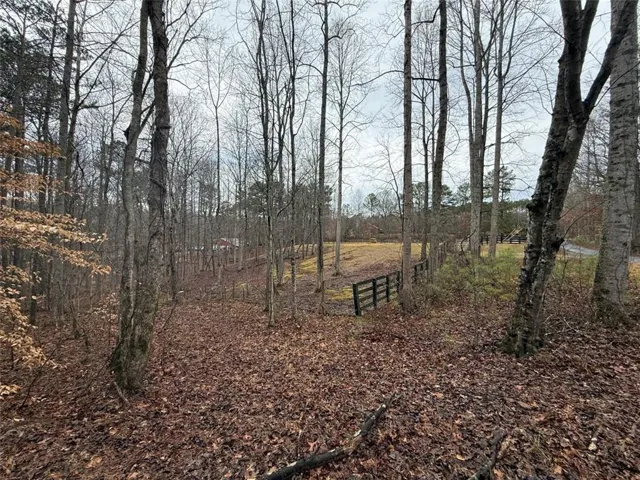 Wooded Lot