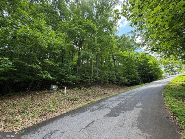 6 & 7 Mill Ridge Rd, Hiawassee, Georgia 30546