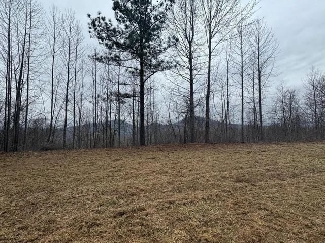 Lot 10 Chatuge Manor, Young Harris, Georgia 30582