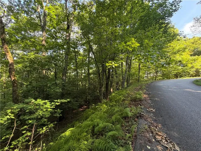 5 Mill Ridge Road, Hiawassee, Georgia 30546