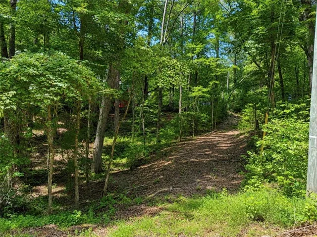 Wooded lot with mature trees and natural foliage