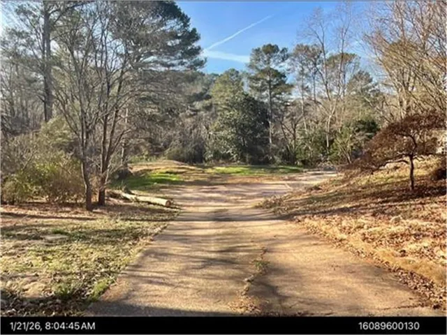 Paved drive, mature trees, and natural landscaping