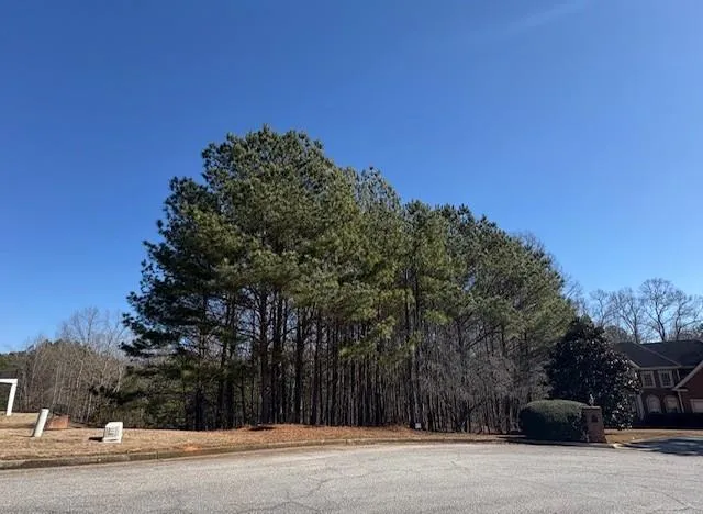 4290 Bronte Lane, Douglasville, Georgia 30135
