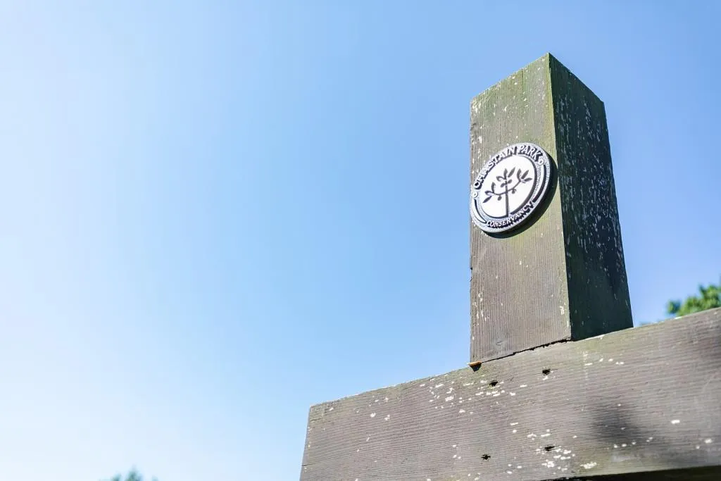 126 W Wieuca Road Ne, Atlanta, Georgia 30342, 4 Bedrooms Bedrooms, ,4 BathroomsBathrooms,Residential,Sold,126 W Wieuca Road Ne,7042572