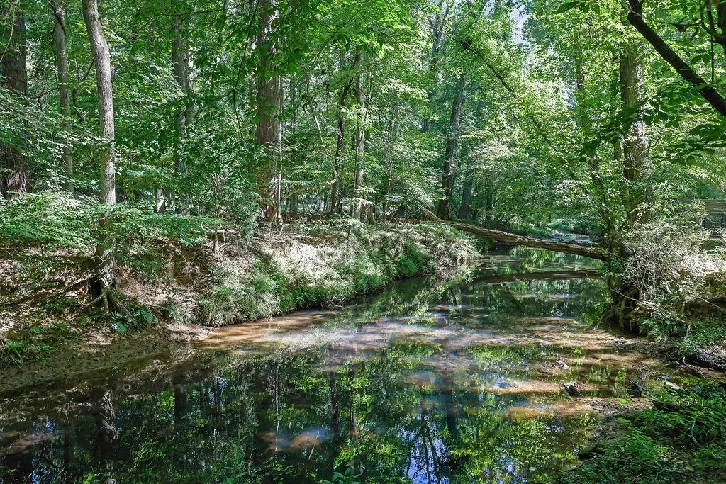 Chattahoochee River