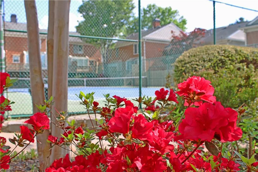 View of tennis court
