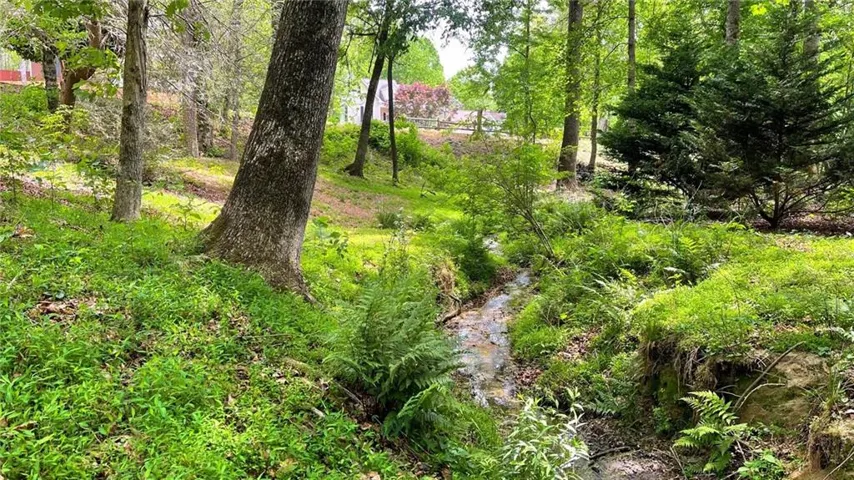 Wooded lot featuring a natural stream, mature trees, and dense groundcover