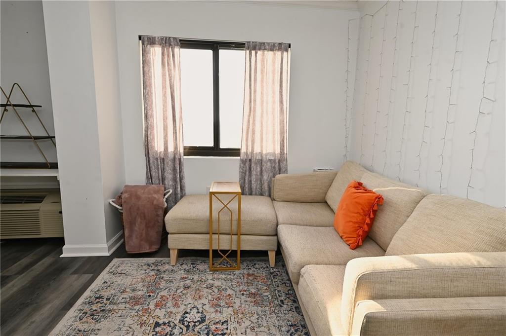 Living room featuring dark wood-type flooring