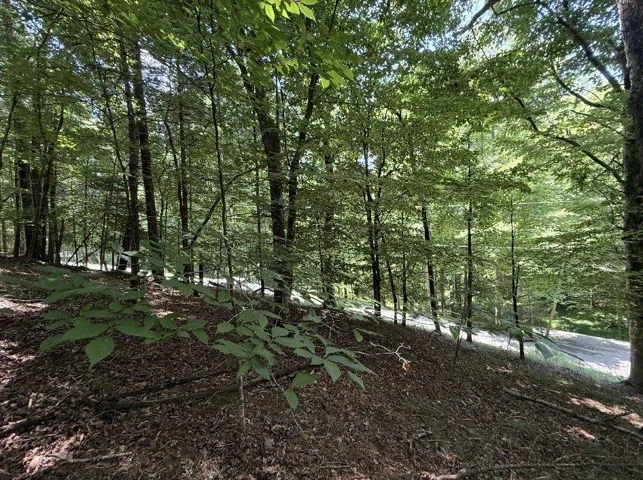 Lt3469 Fir Lane, Ellijay, Georgia 30540