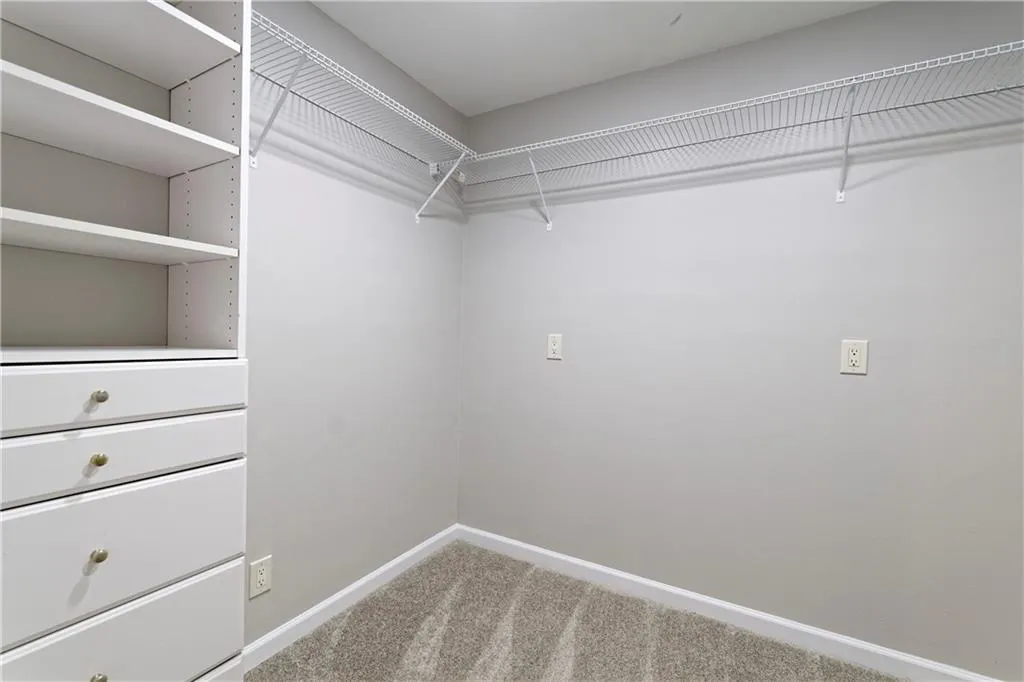 Spacious closet featuring carpet floors