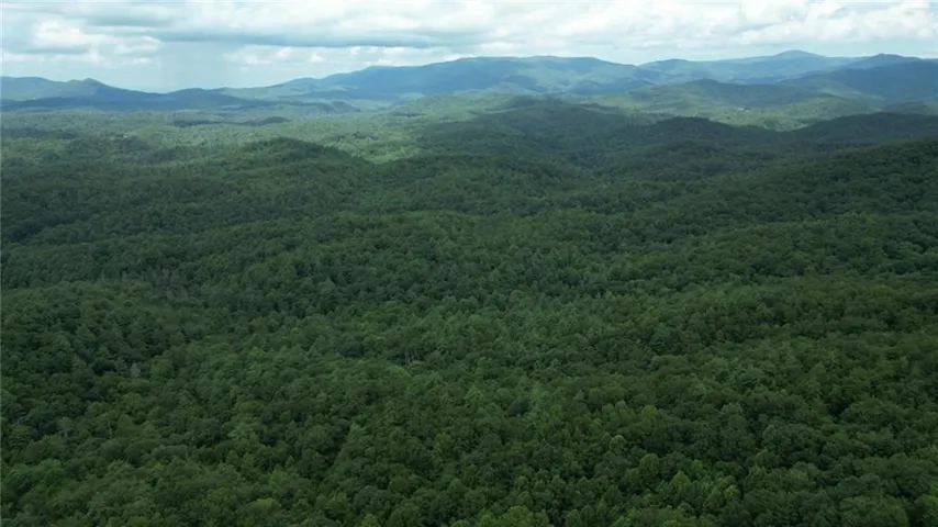Gorgeous view of the North Georgia Mountains