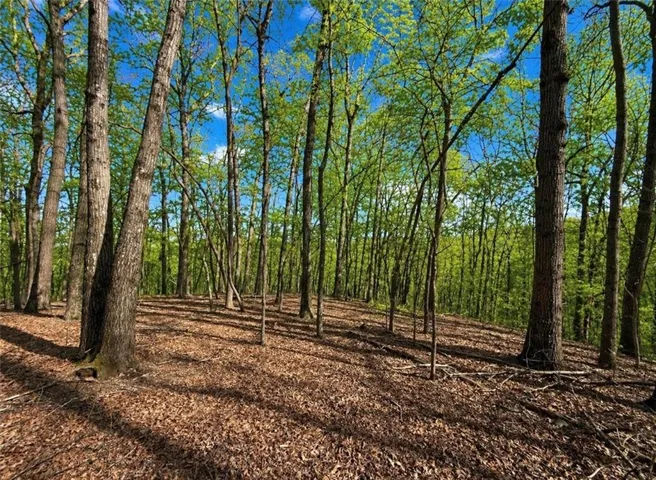 0 Burnt Mtn Cove Road, Jasper, Georgia 30143