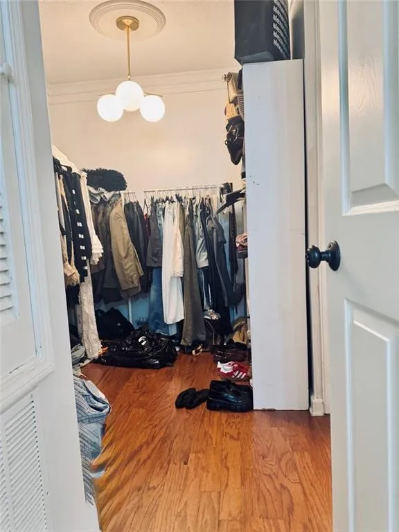 Spacious closet featuring wood finished floors