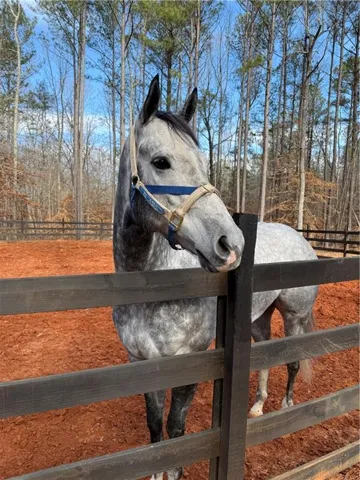 1170
