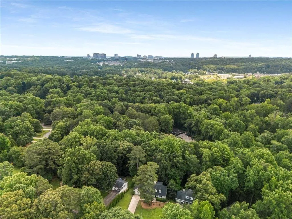 Drone / aerial view of a forest