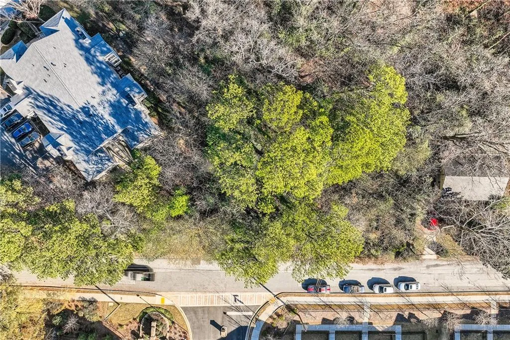 2093 Pine Cone Lane Ne, Atlanta, Georgia 30319, 0 ,Land,For Sale,2093 Pine Cone Lane Ne,7707520