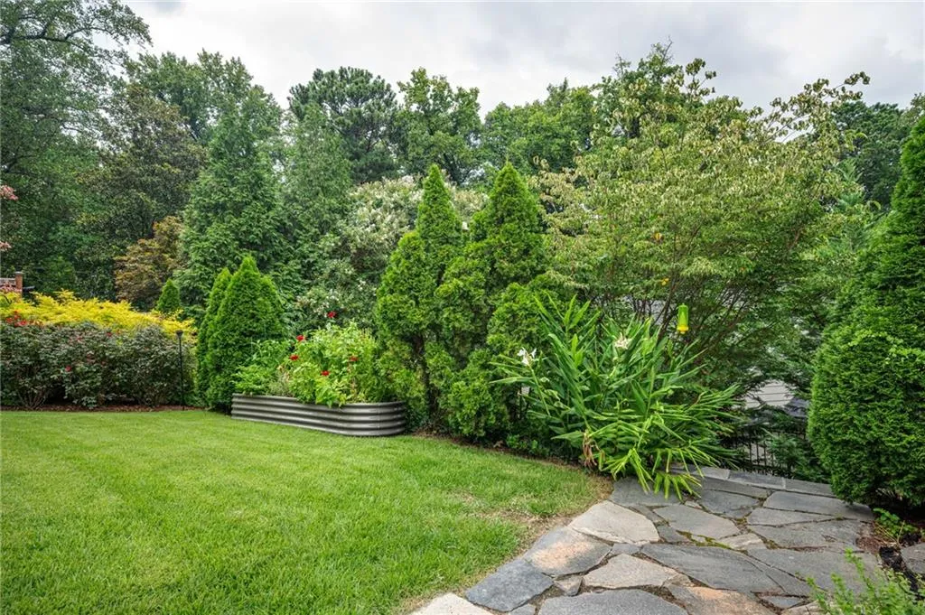 Lush greenery