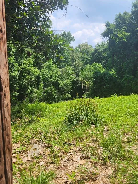 View of tree filled area