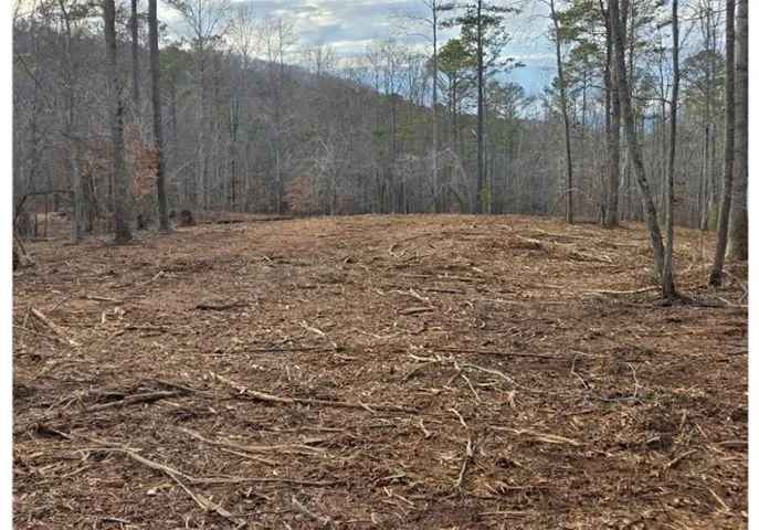 Cleared lot with natural woodland surroundings