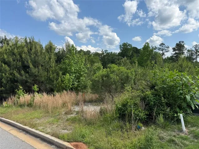 40 Arbor Springs Parkway, Newnan, Georgia 30265