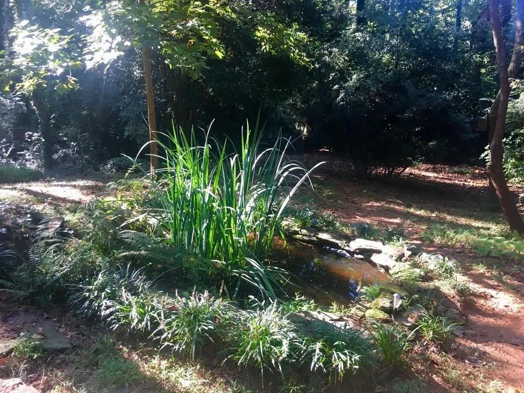 4832 Merlendale Drive, Atlanta, Georgia 30327, 5 Bedrooms Bedrooms, ,3 BathroomsBathrooms,Residential,Sold,4832 Merlendale Drive,6519929