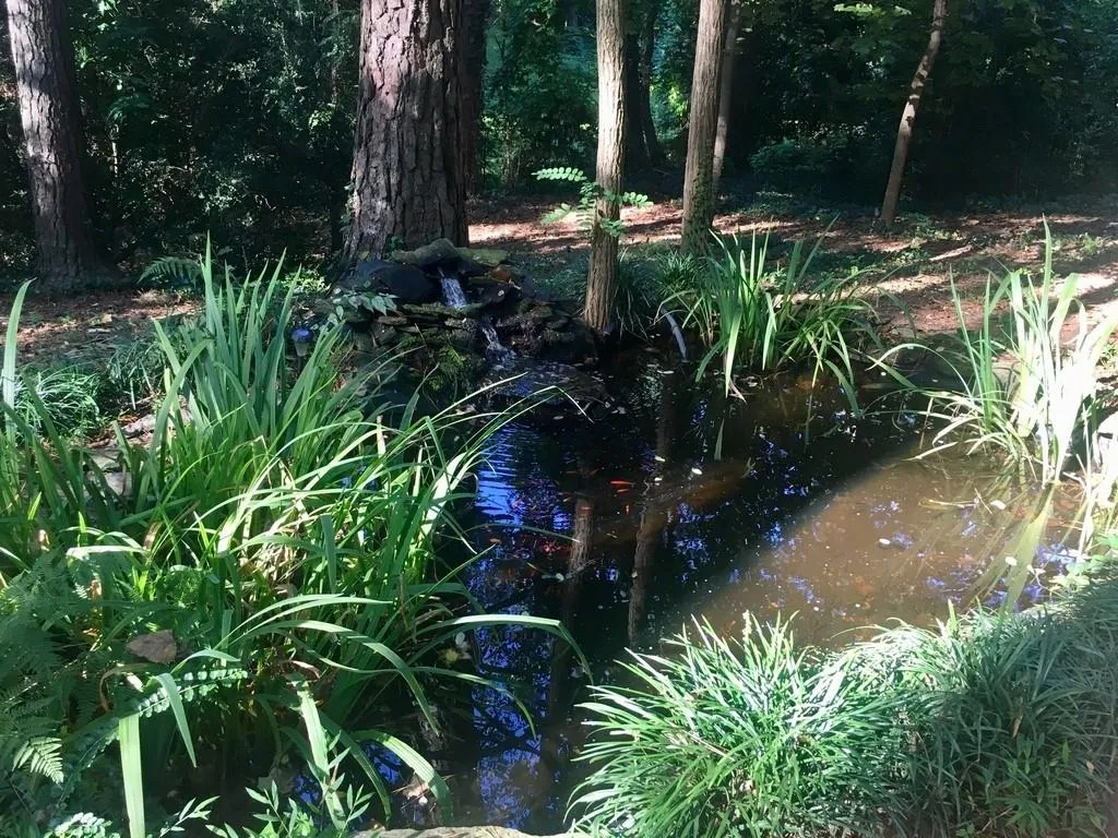 4832 Merlendale Drive, Atlanta, Georgia 30327, 5 Bedrooms Bedrooms, ,3 BathroomsBathrooms,Residential,Sold,4832 Merlendale Drive,6519929