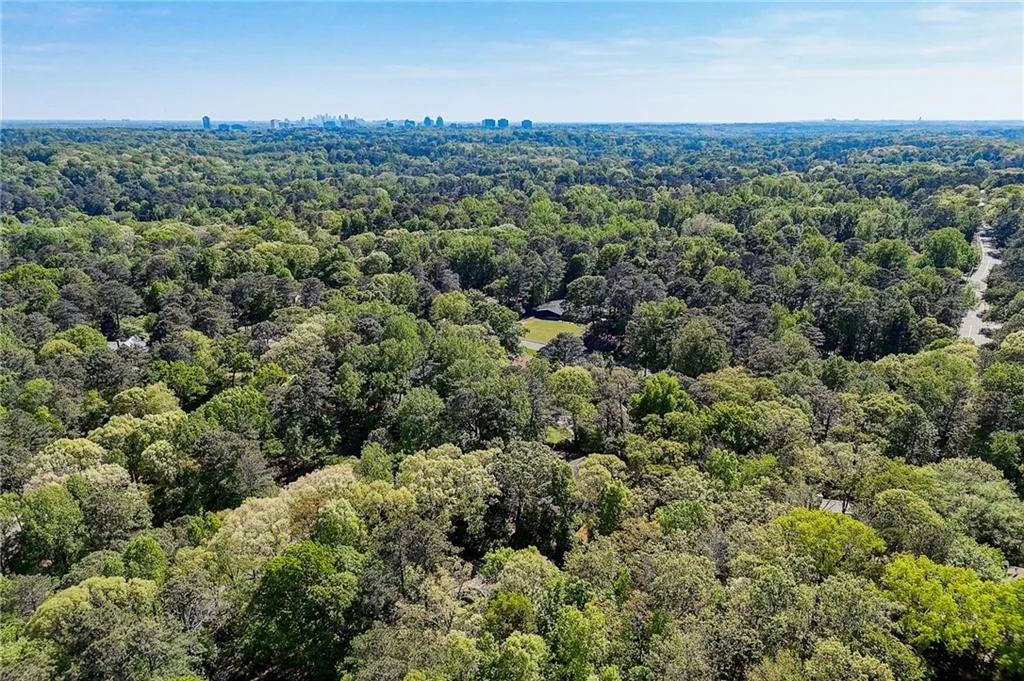 View of bird's eye view