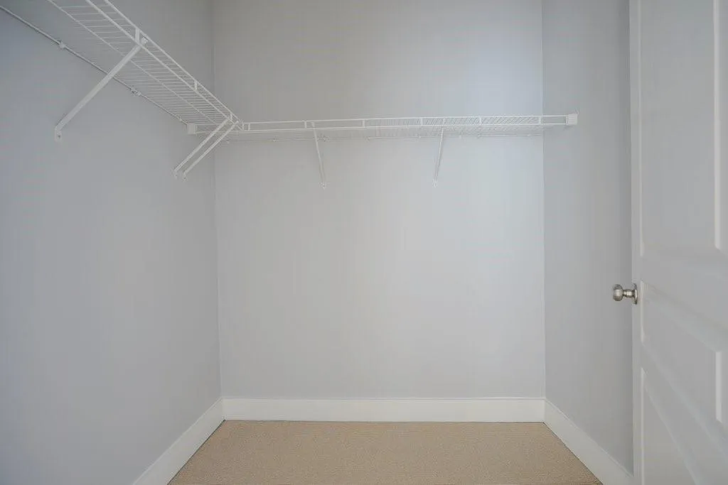 Spacious closet featuring light carpet Spacious closet featuring light carpet