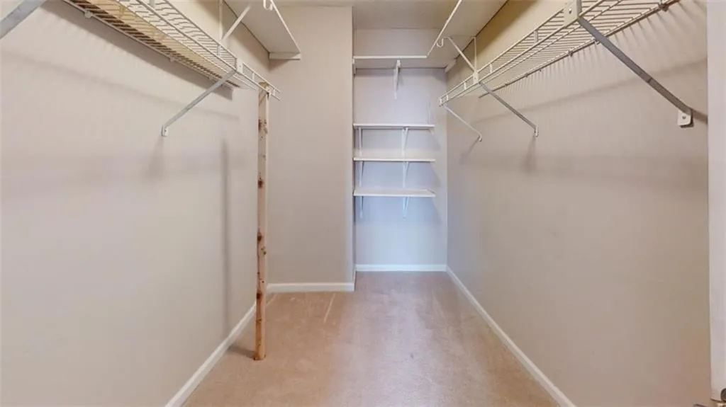 Walk in closet with carpet floors