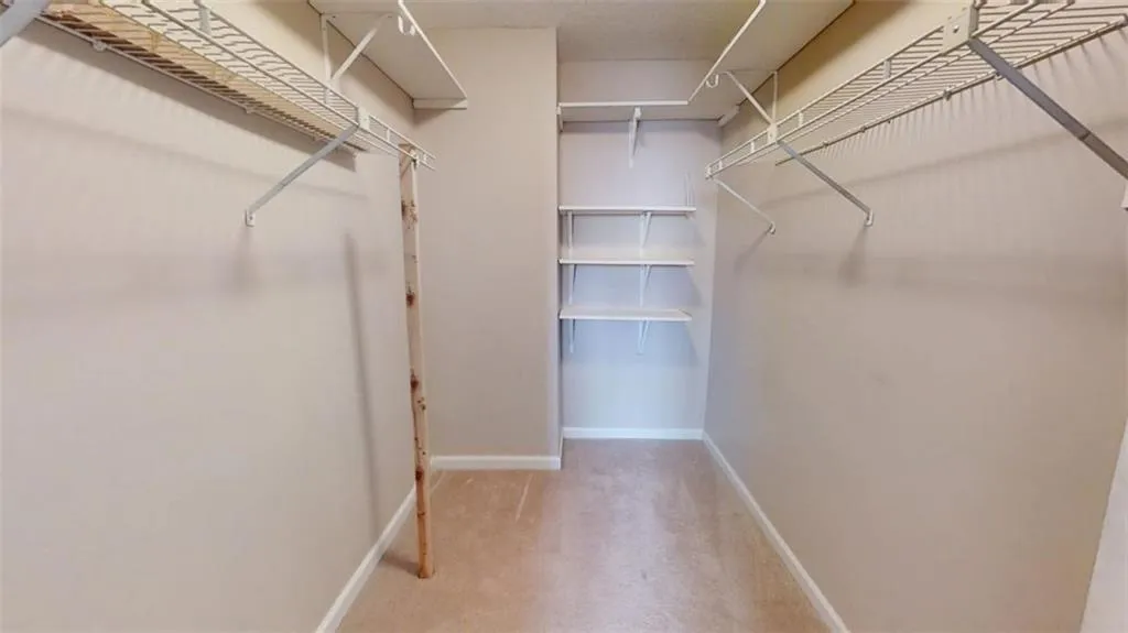 Spacious closet featuring carpet floors