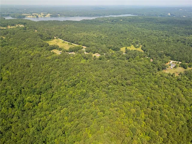 Drone / aerial view of a forest and a nearby body of water
