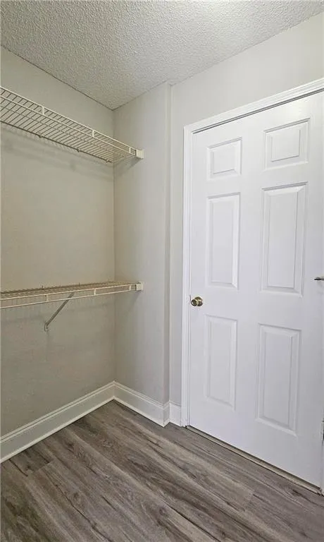 Walk in closet featuring dark wood-style flooring