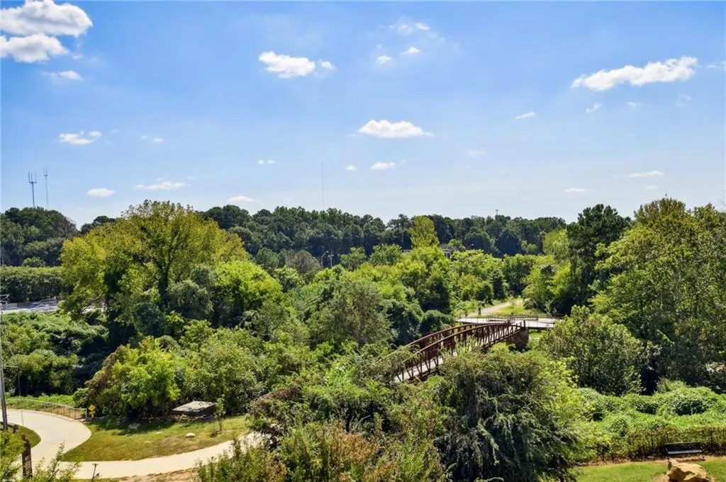 View from rooftop deck in the summertime.