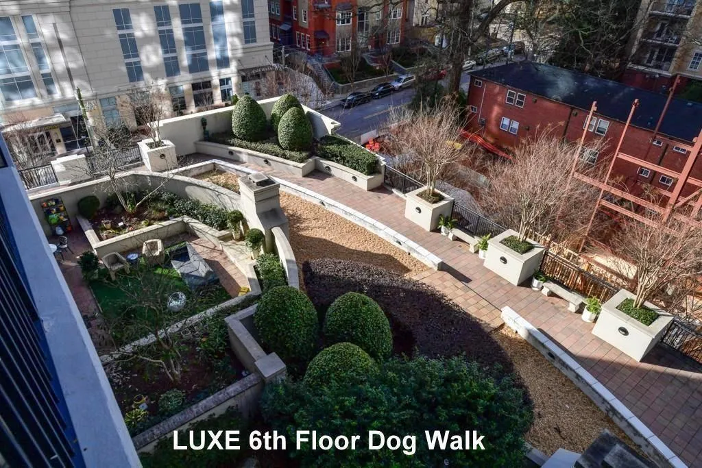 6th Floor Dog Walk Area