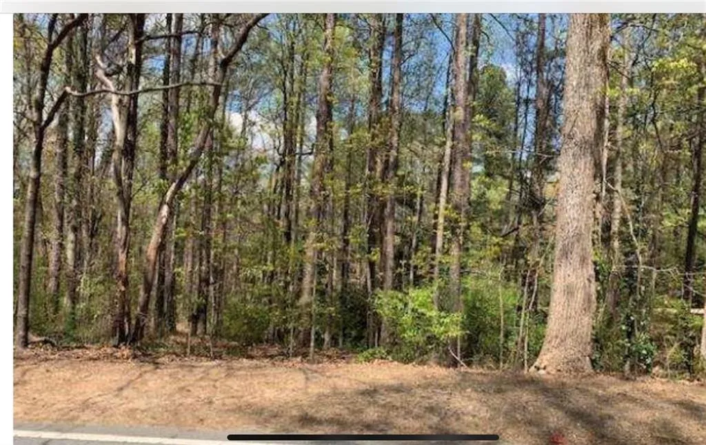 445 Mount Paran Road, Atlanta, Georgia 30327, ,Land,Sold,445 Mount Paran Road,6548339