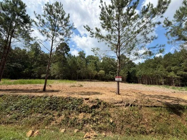84 Popham Road Tract 1 & 2, Taylorsville, Georgia 30178