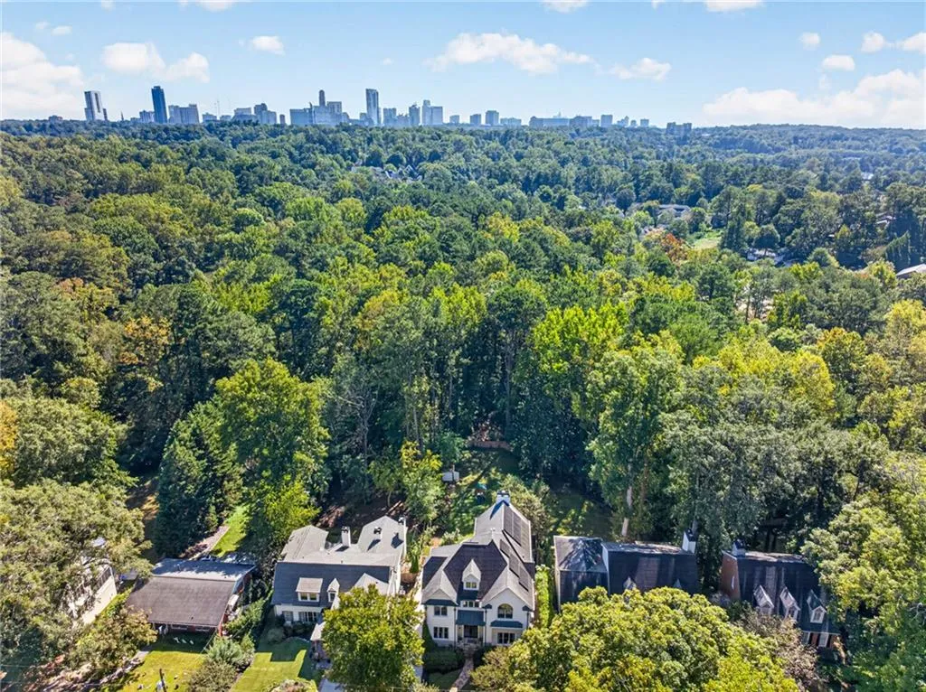 Aerial perspective showcasing an expansive wooded lot with a prominent skyline backdrop