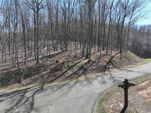 180 Trailwood Drive, Ellijay, Georgia 30536