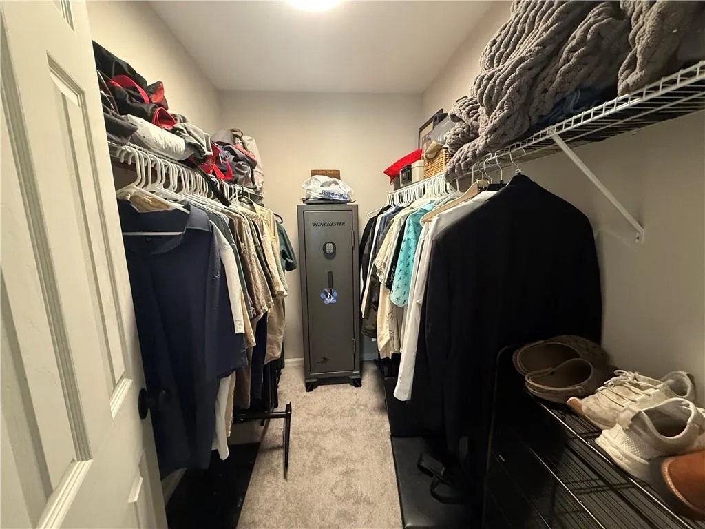 Walk in closet with light colored carpet