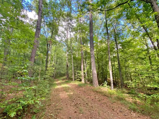 153ac White Path Road, Ellijay, Georgia 30540