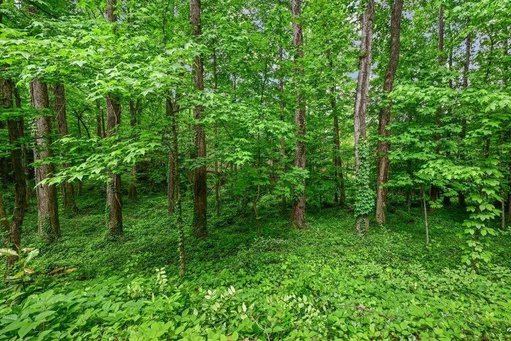 1160 Windsor Parkway Unit 3, Sandy Springs, Georgia 30319, 3 Bedrooms Bedrooms, ,2 BathroomsBathrooms,Residential,Sold,1160 Windsor Parkway Unit 3,7218098 1160 Windsor Parkway Unit 3, Sandy Springs, Georgia 30319, 3 Bedrooms Bedrooms, ,2 BathroomsBathrooms,Residential,Sold,1160 Windsor Parkway Unit 3,7218098