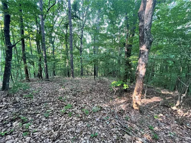 View of woods