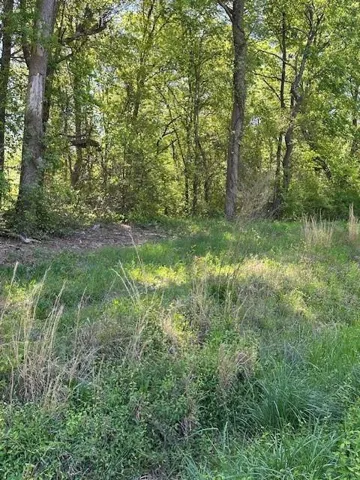 View of nature