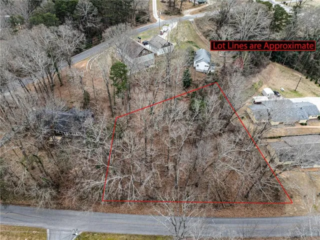 Expansive wooded lot featuring mature trees, a gently sloping terrain, and direct road frontage