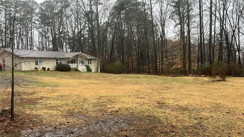 View of grassy yard