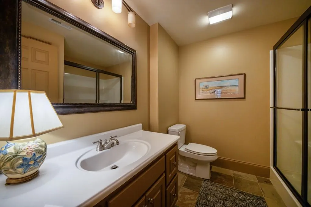 Terrace level full bathroom