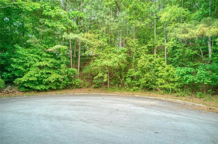 2715 Brass Lantern Court, Douglasville, Georgia 30135
