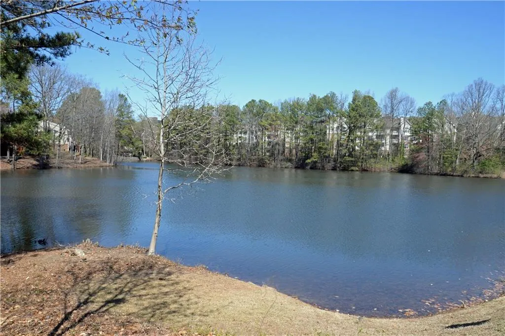 63 Dunwoody Springs Drive Unit D, Atlanta, Georgia 30328, 3 Bedrooms Bedrooms, ,2 BathroomsBathrooms,Residential,Sold,63 Dunwoody Springs Drive Unit D,5819165