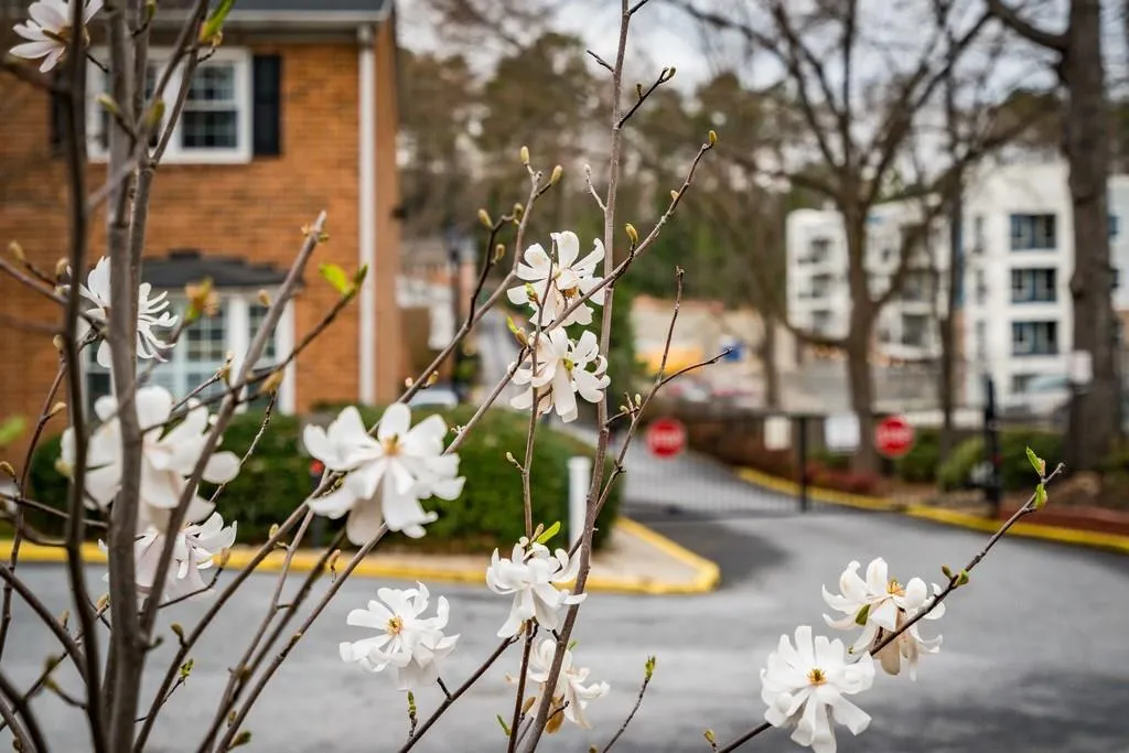 6520 Roswell Road Unit 94, Atlanta, Georgia 30328, 2 Bedrooms Bedrooms, ,1 BathroomBathrooms,Residential,Sold,6520 Roswell Road Unit 94,5812606